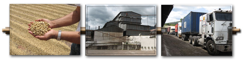 el salvador coffee processing unex 2