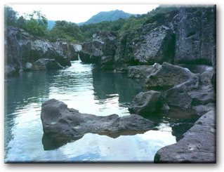 el salvador sapo river