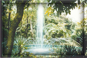 san salvador-botanical gardens